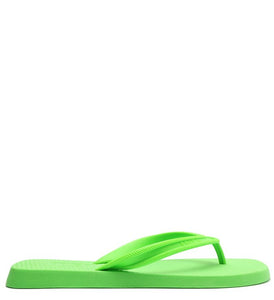 Brizza Sport Green Slipper