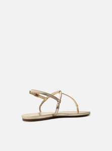 Slim Beak Golden Flat Sandal